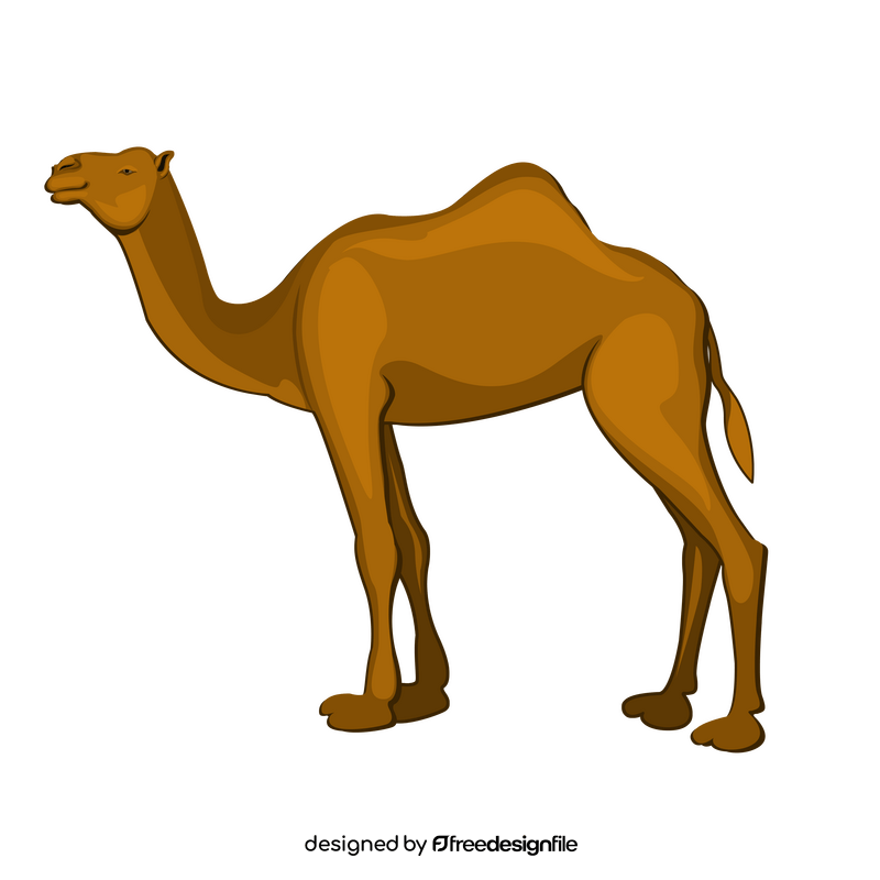 Camel clipart