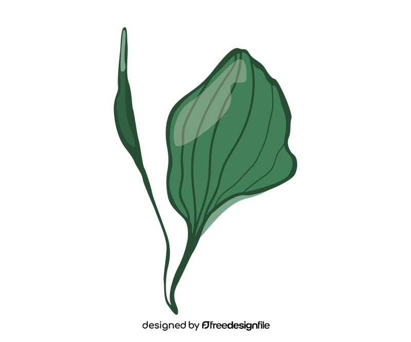 Green leaf illustration clipart