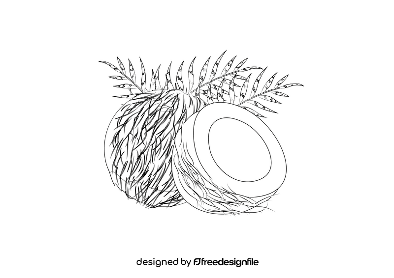 Coconut black and white clipart