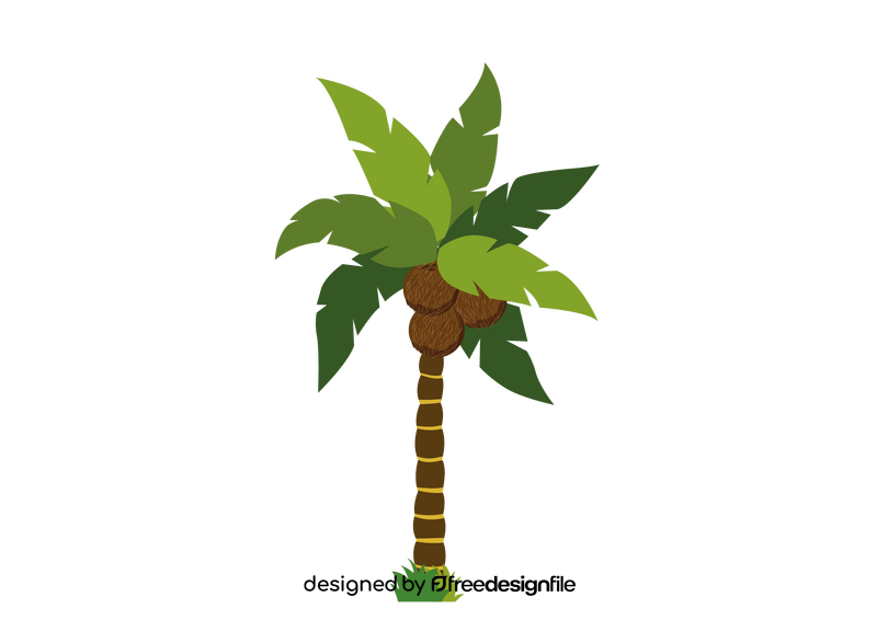Coconut Tree clipart