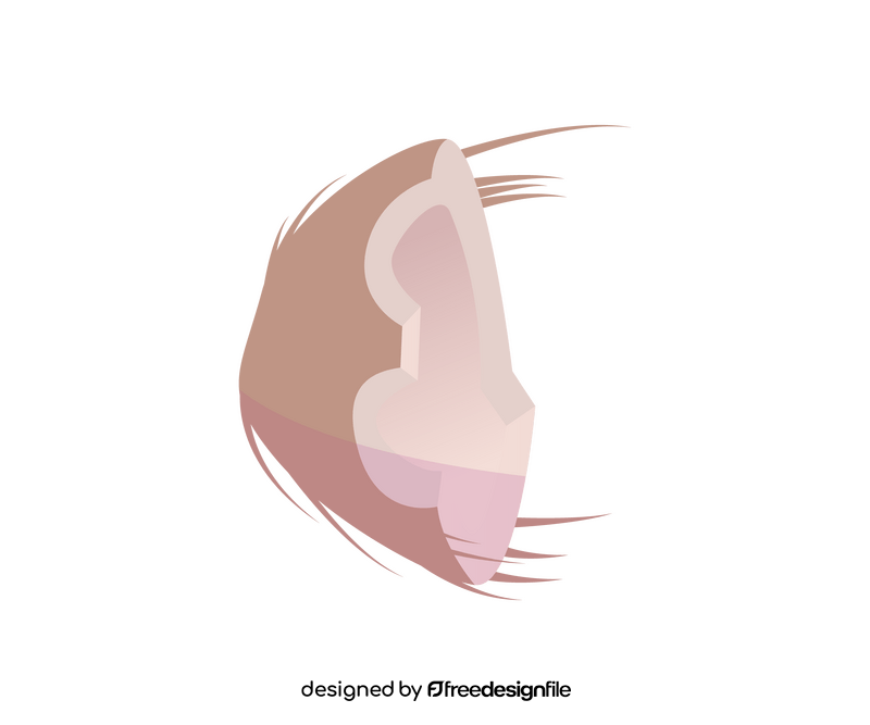 Broken coconut cartoon clipart