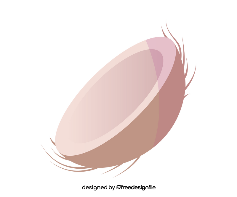 Half cut coconut cartoon clipart