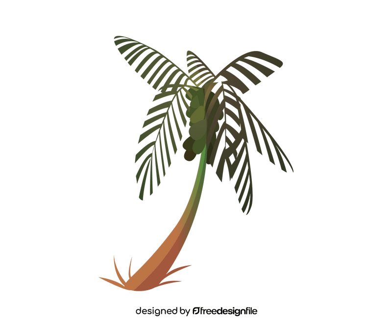 Palm tree drawing clipart