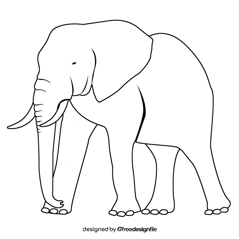 Elephant black and white clipart