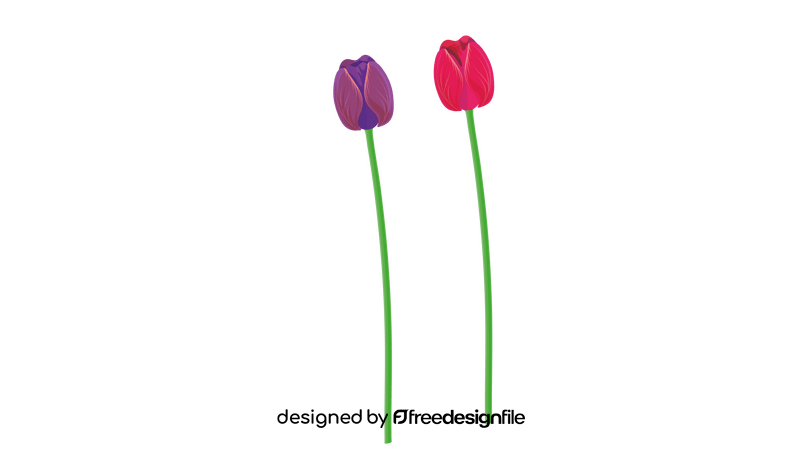 Pink and Purple Tulips clipart