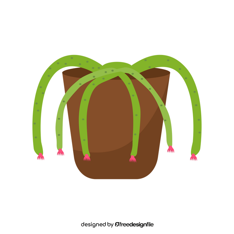 Hylocereus cactus clipart