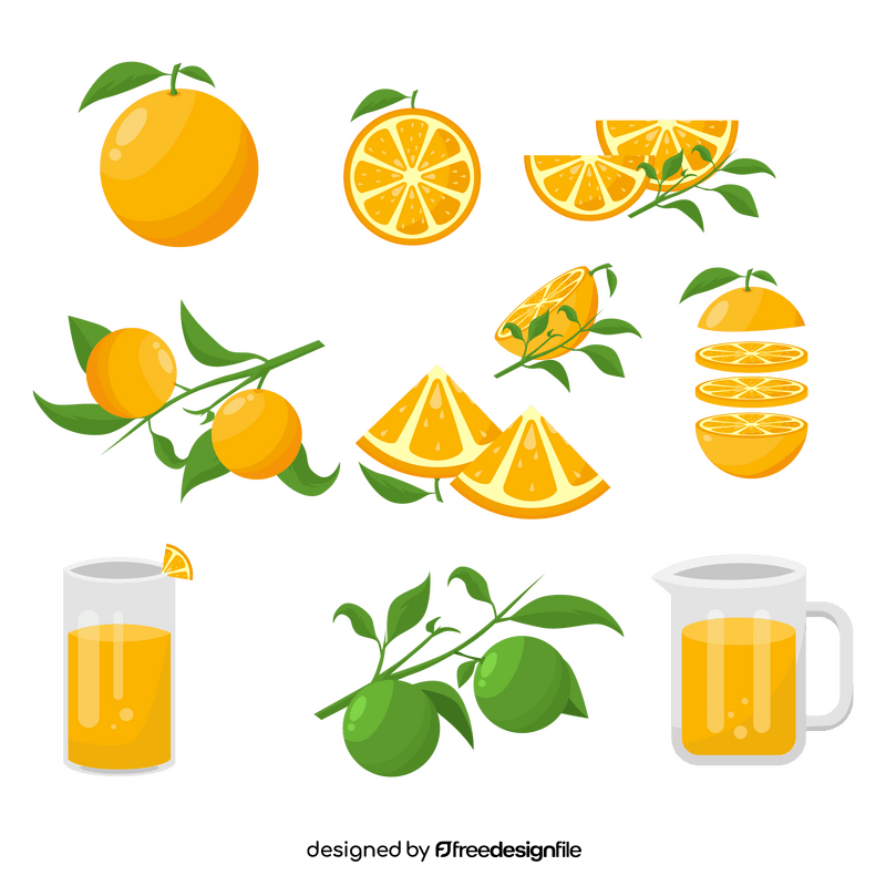 Orange set vector