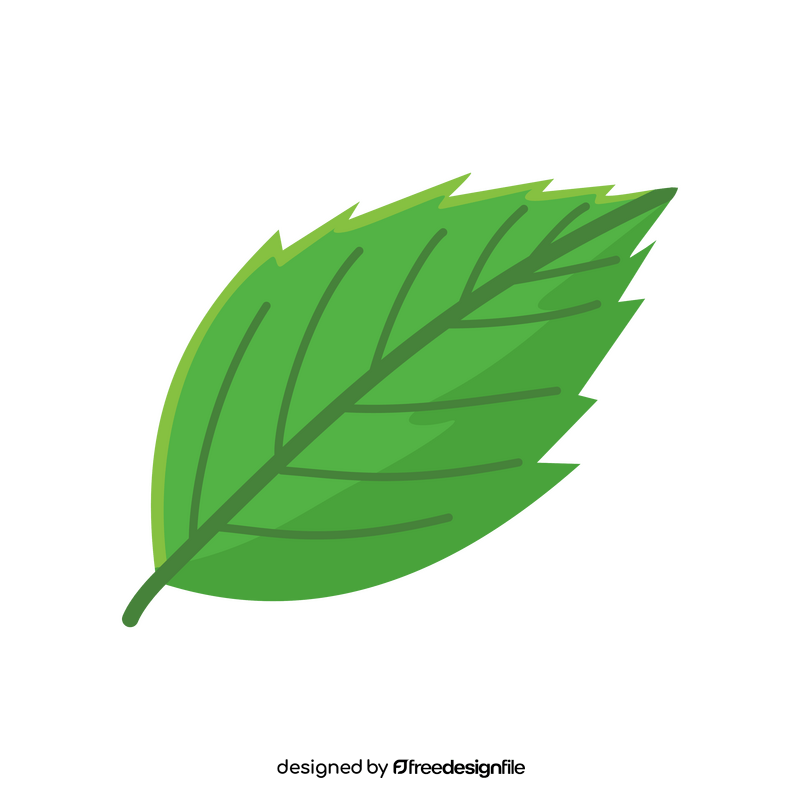 Strawberry leaf clipart