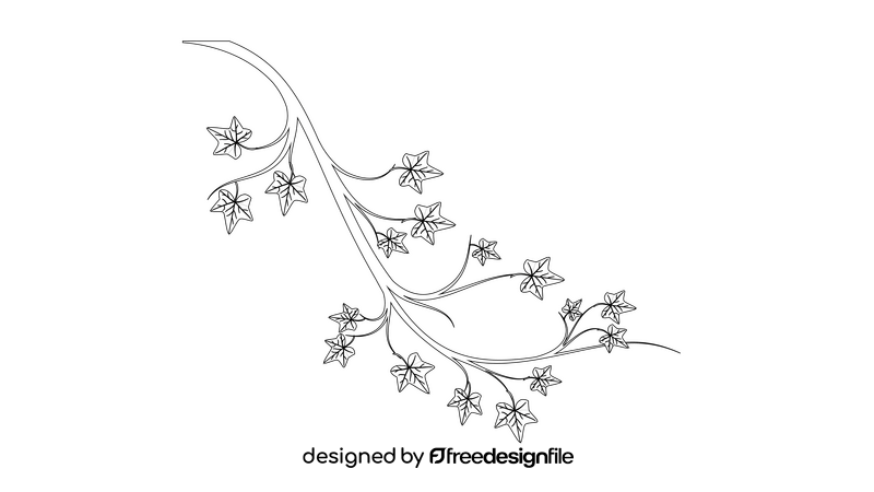 Ivy Branch black and white clipart