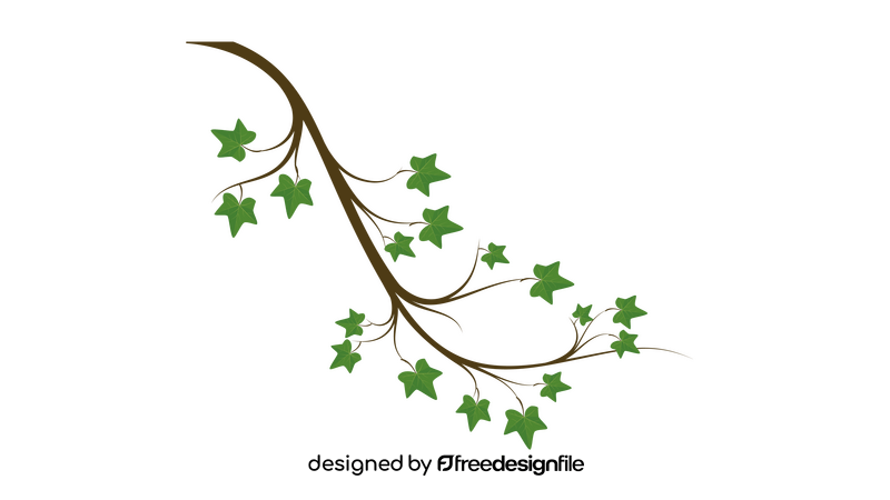 Ivy Branch clipart
