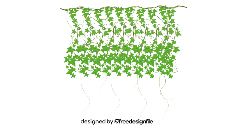 Long Hanging Ivy clipart