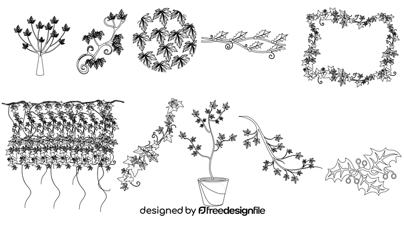 Ivy Plant black and white vector