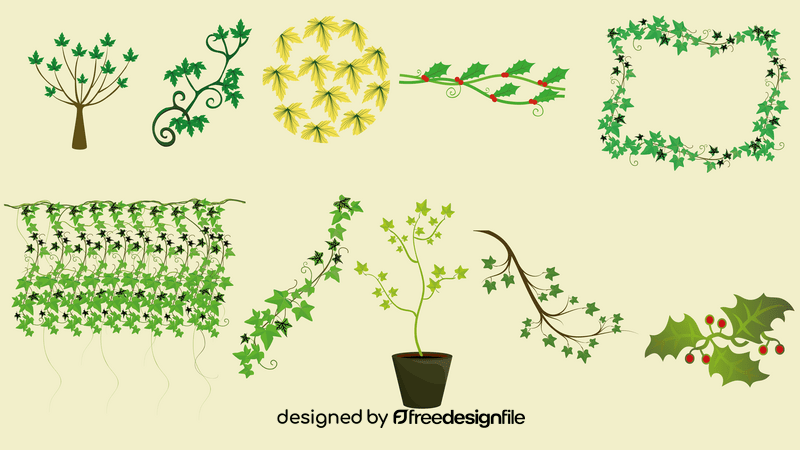 Ivy Plant vector