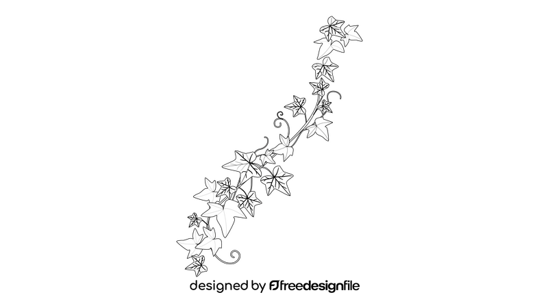 Simple Ivy Leaf black and white clipart