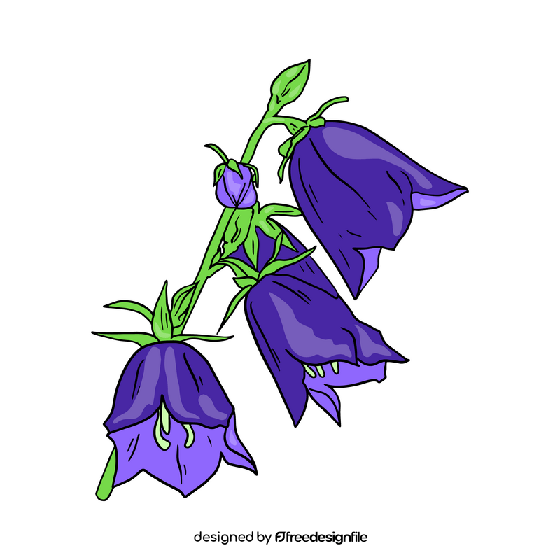 Bellflower clipart