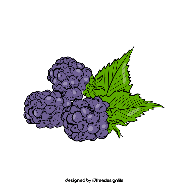 Blackberry Fruit clipart