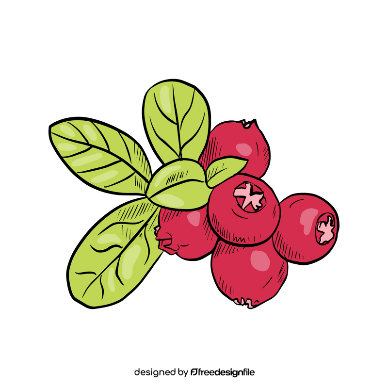 Lingonberry clipart