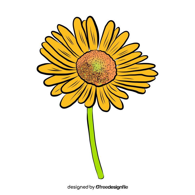 Chamomile clipart