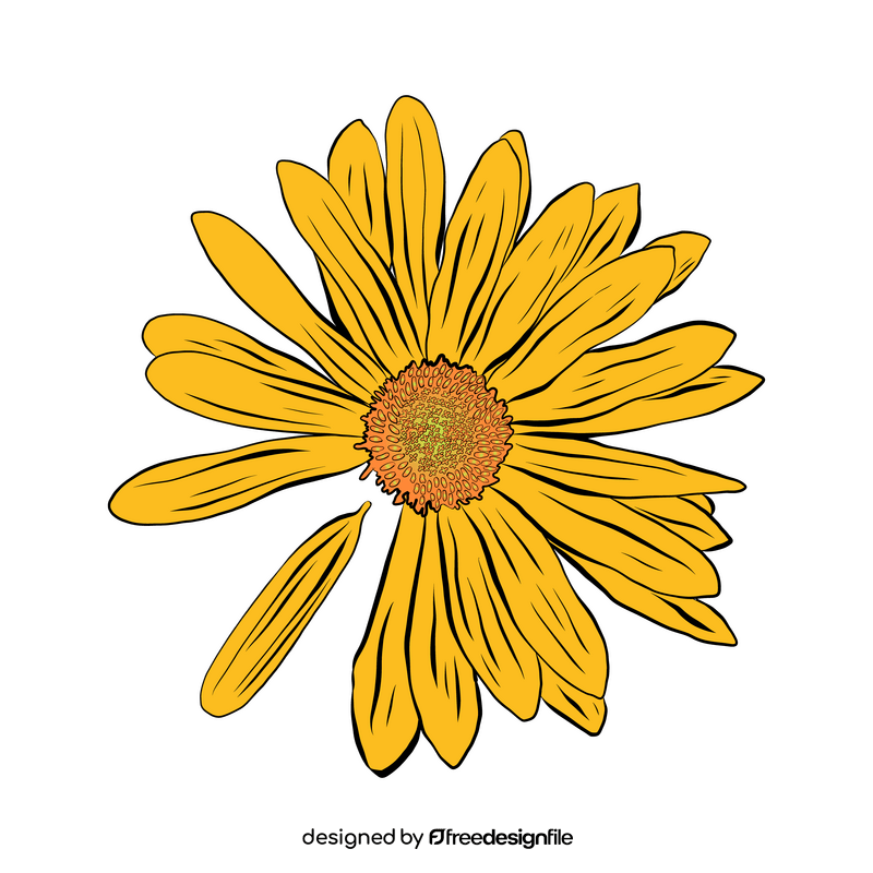 Chamomile clipart