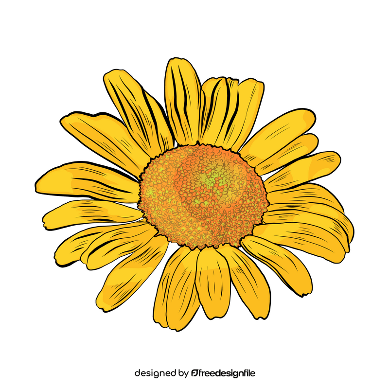 Chamomile clipart