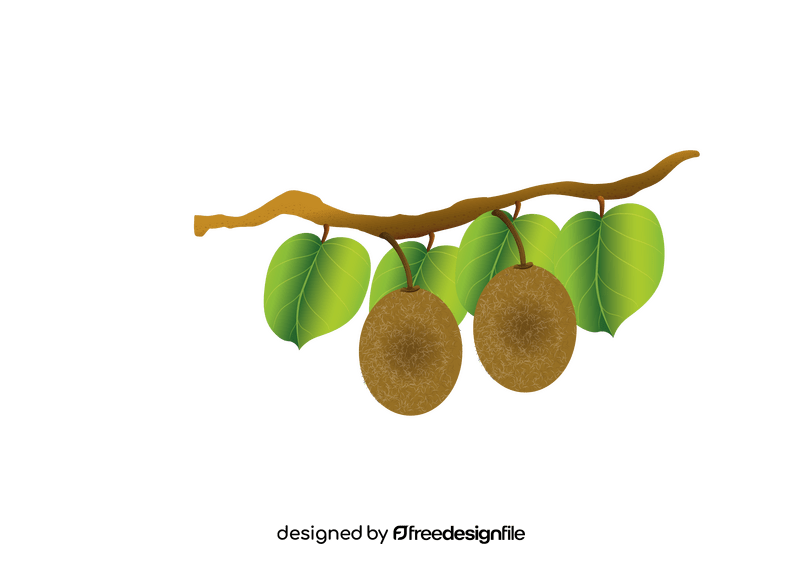 Kiwi Hanging on a Branch clipart