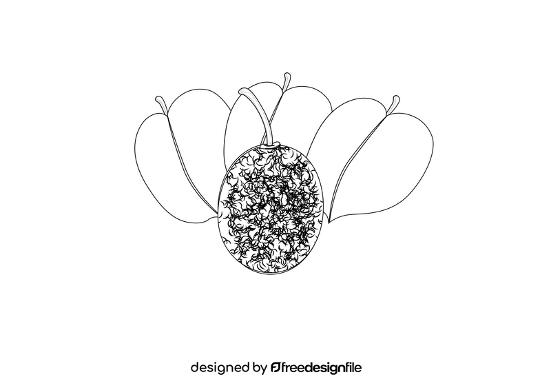 Kiwi with Leaves black and white clipart