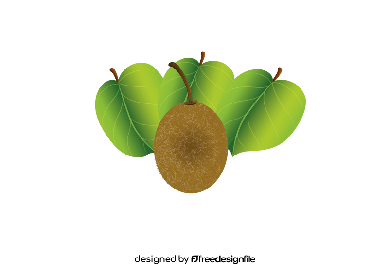 Kiwi with Leaves clipart