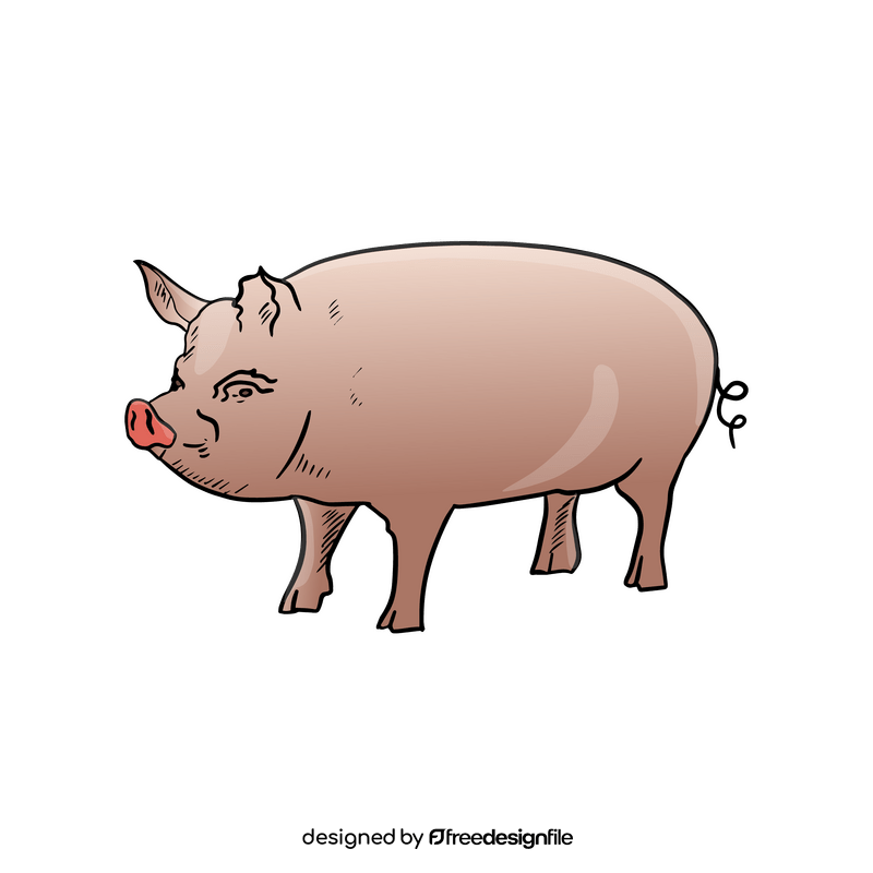 Pig clipart