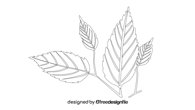 Leaves black and white clipart