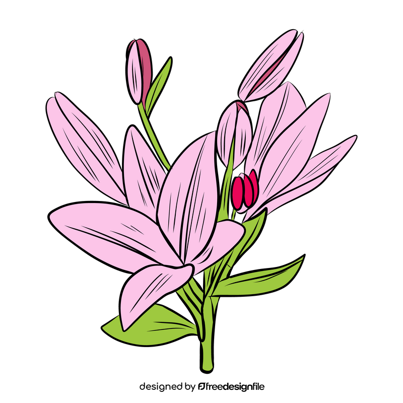 Lily clipart