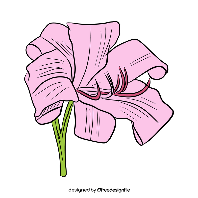 Lily clipart