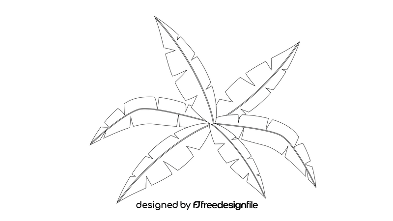 Coconut Plant Leaves black and white clipart