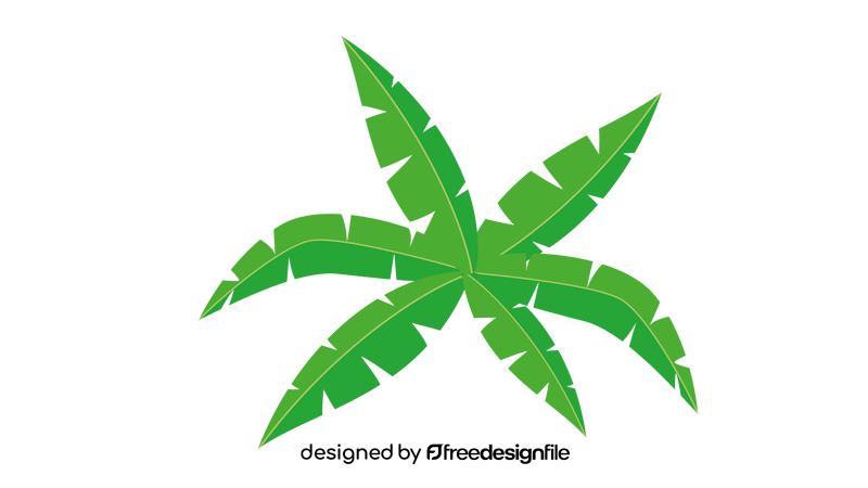Coconut Plant Leaves clipart