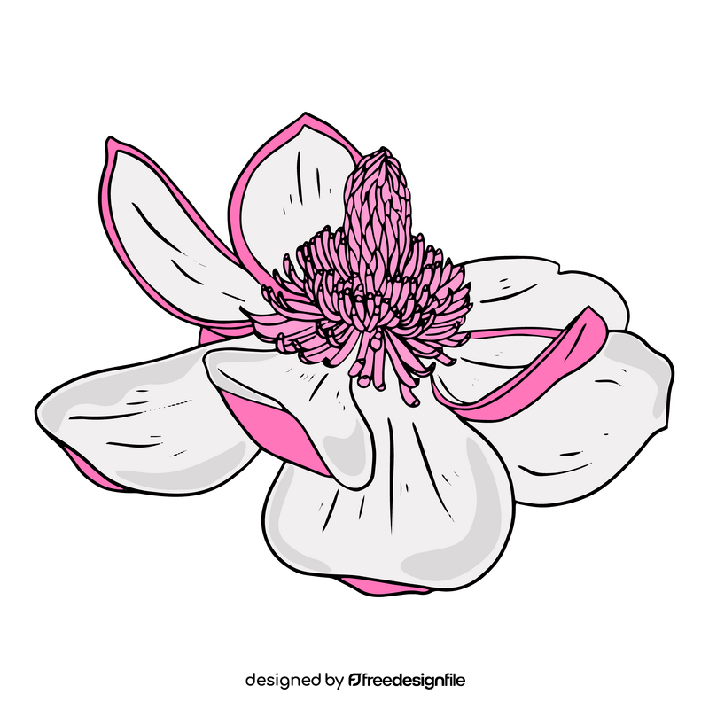 Magnolia clipart