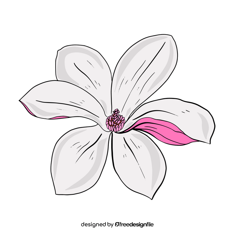 Magnolia clipart