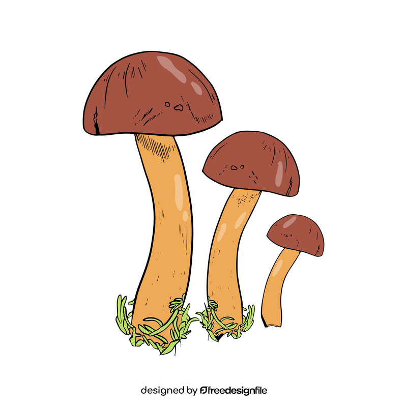 Boletus Edulis clipart