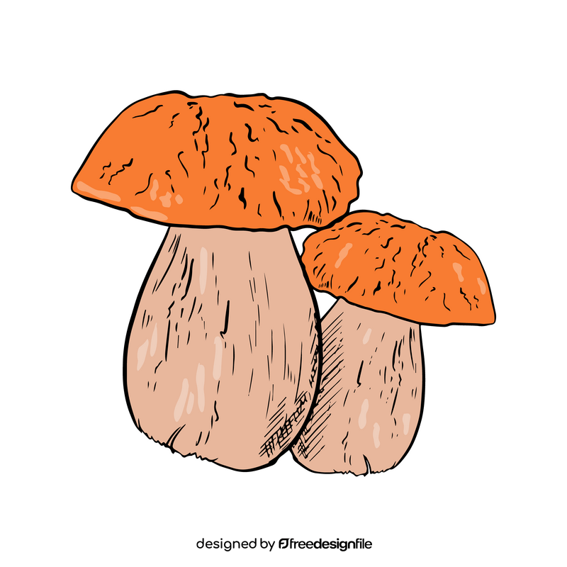 Porcini Mushroom clipart