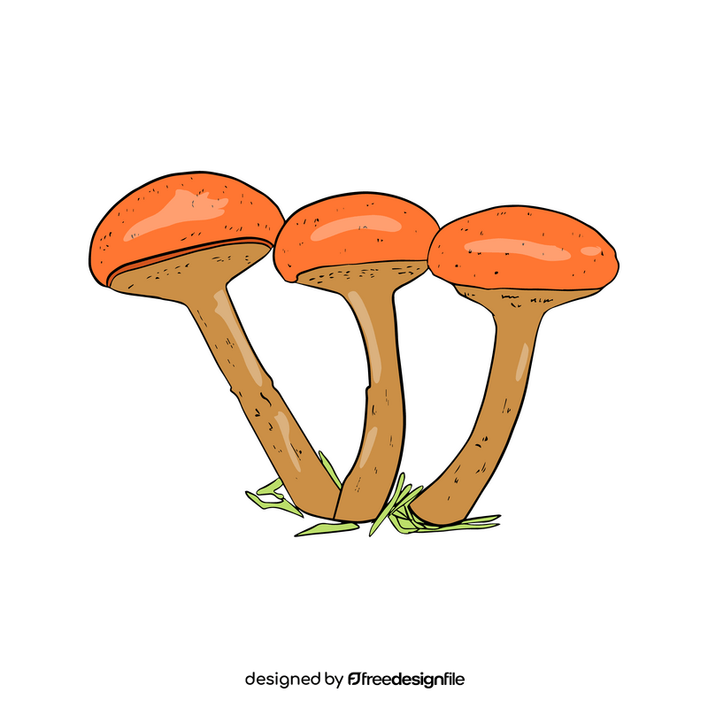 Maslata Mushroom clipart