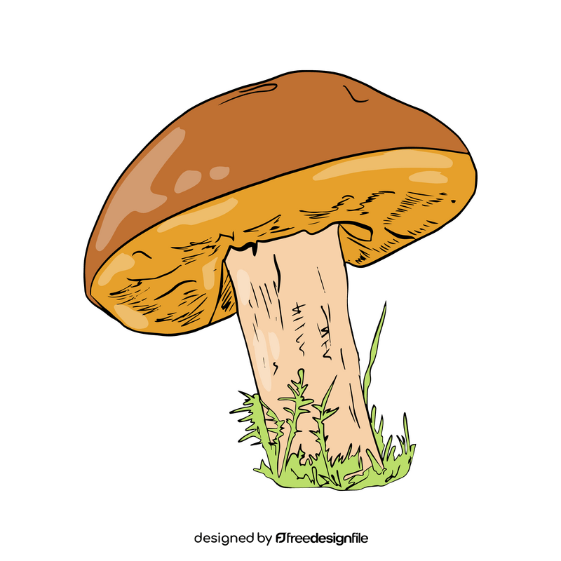 Leccinum clipart