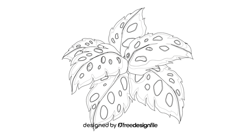 Leaves black and white clipart