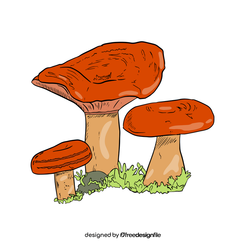 Lactarius Torminosus clipart