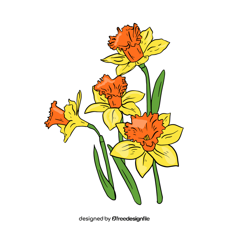 Narcissus clipart