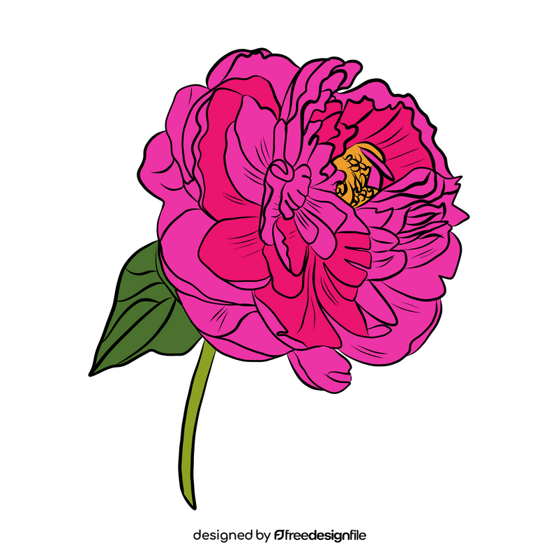 Peony clipart