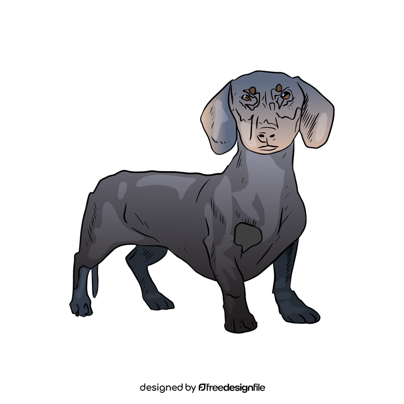 Dachshund clipart