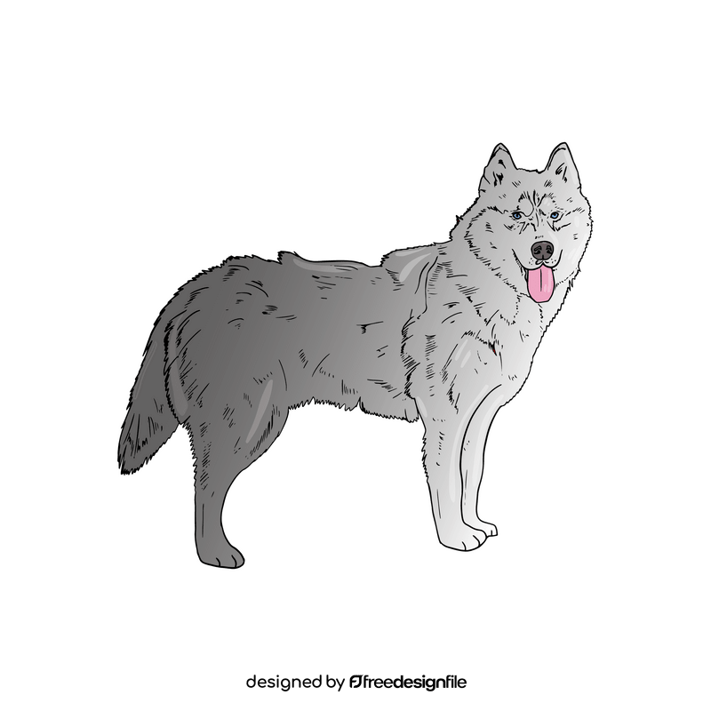 Husky Dog clipart