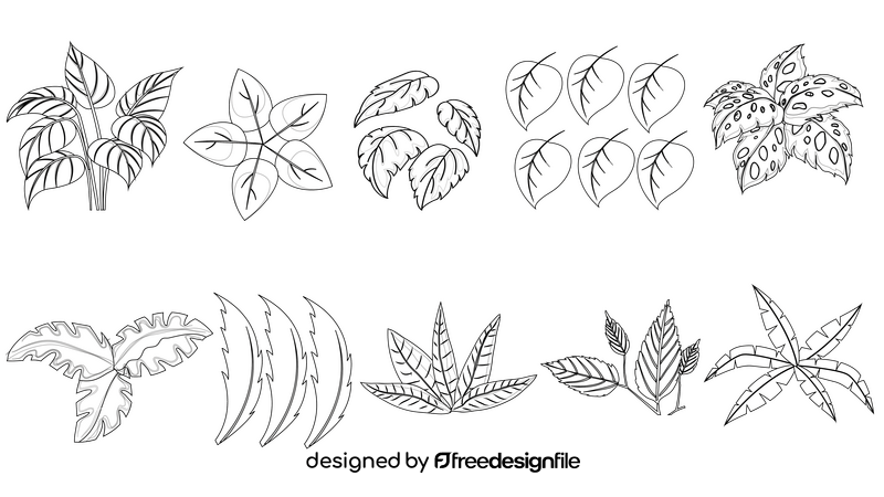 Leaves black and white vector