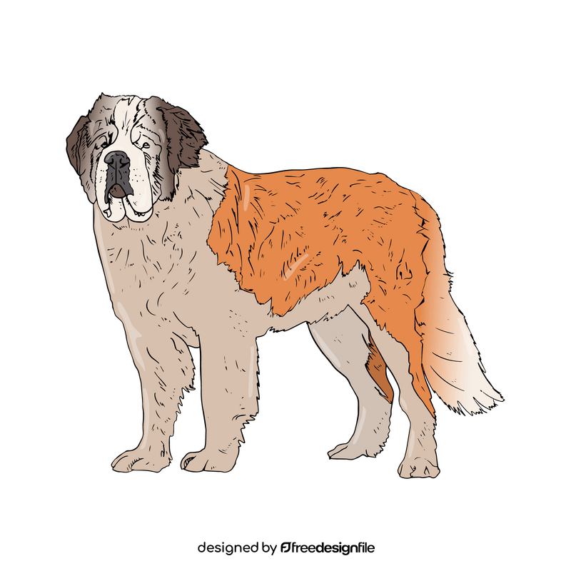 Saint Bernard clipart