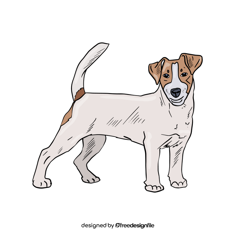 Jack Russell Terrier clipart