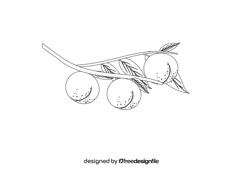 Peach Hanging on a Branch black and white clipart