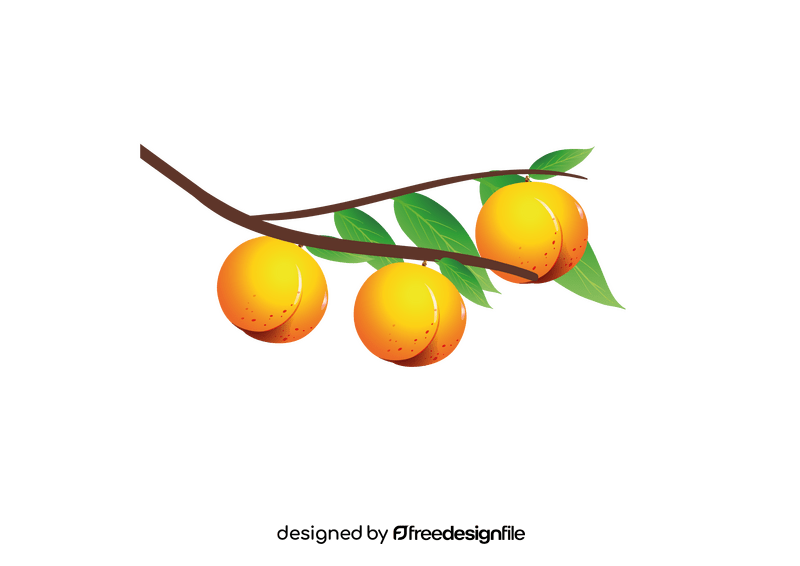 Peach Hanging on a Branch clipart